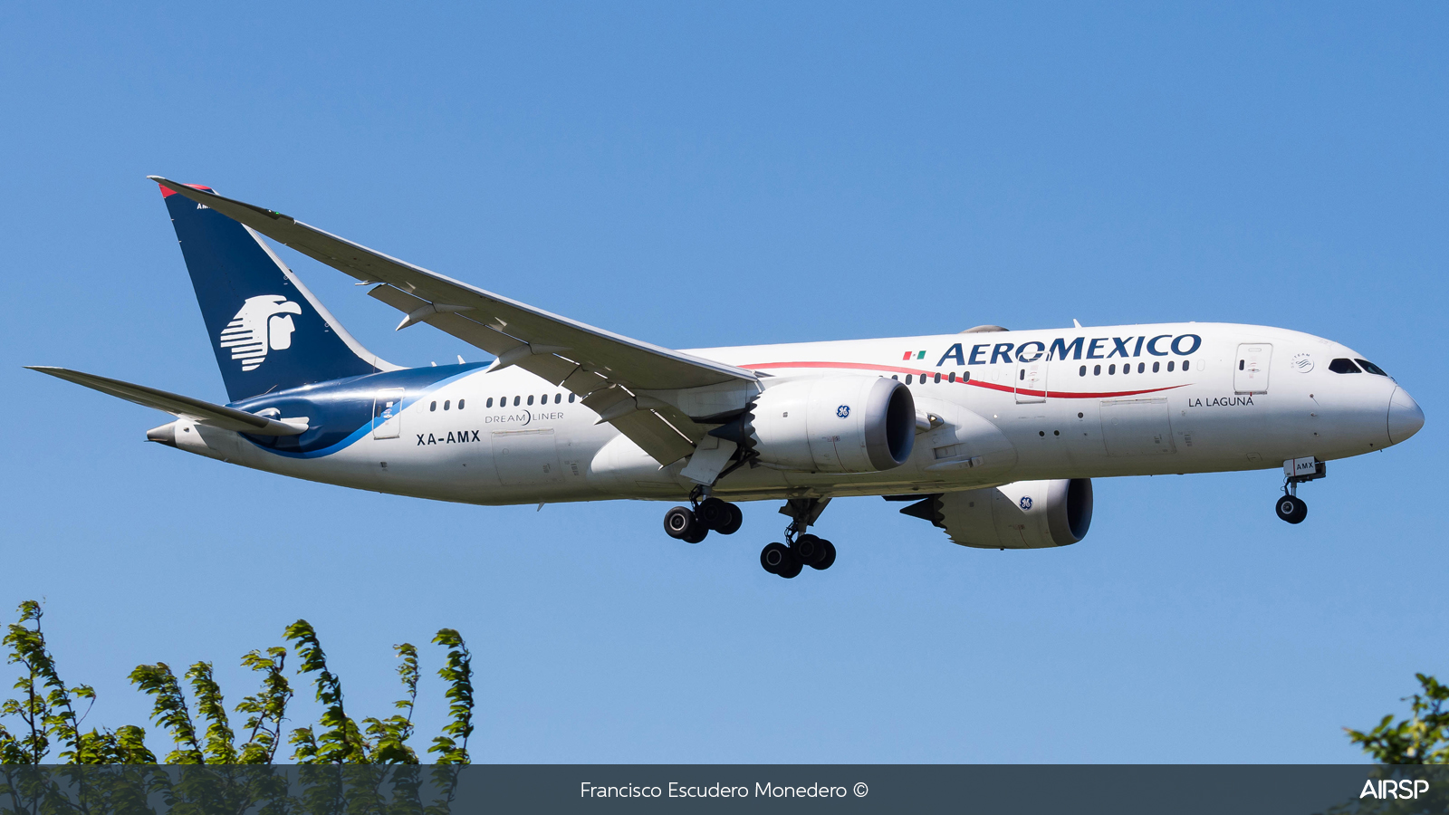 Aeromexico  Boeing 787-8  XA-AMX